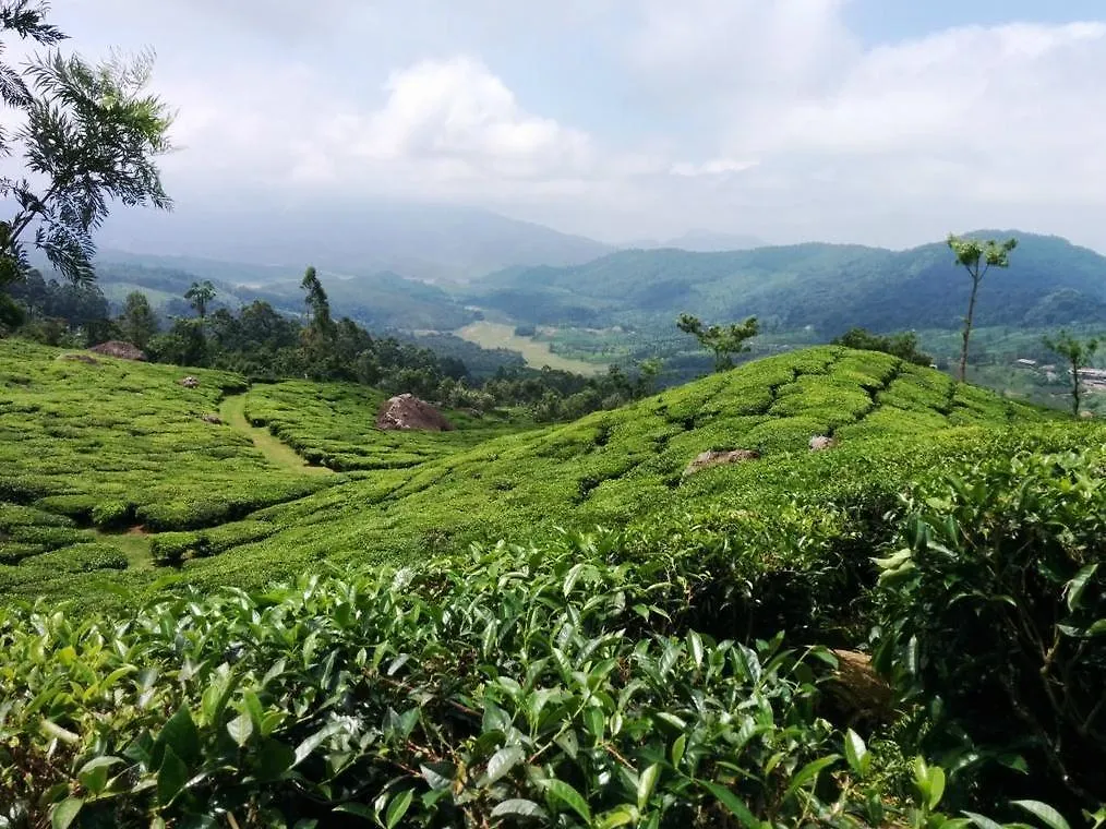 The Club Munnar Hotel