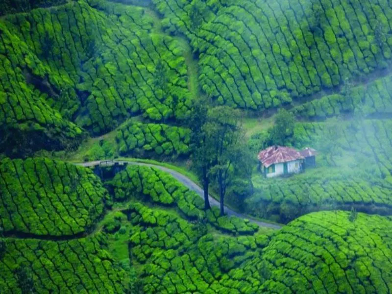 Hotel The Club Munnar